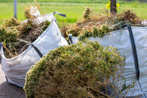 Best Electronics Removal Services  in Thompsonville, PA
